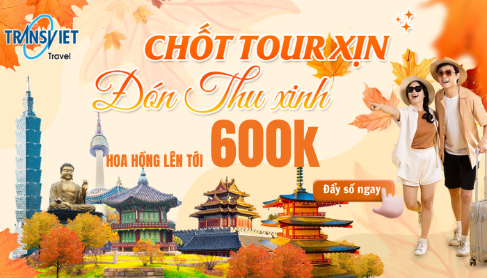 TransViet &ndash; 30 năm kinh nghiệm, đồng h&agrave;nh c&ugrave;ng hơn 10 triệu du kh&aacute;ch